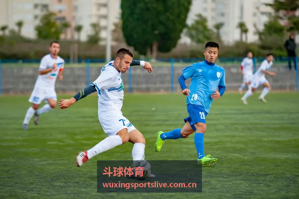 斗球体育CBA篮球直播课程模块封面